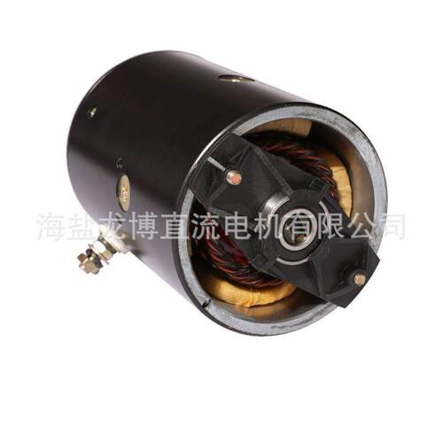 W-9993D动力元油泵用直流有刷海盐龙博电机1200w12v24V