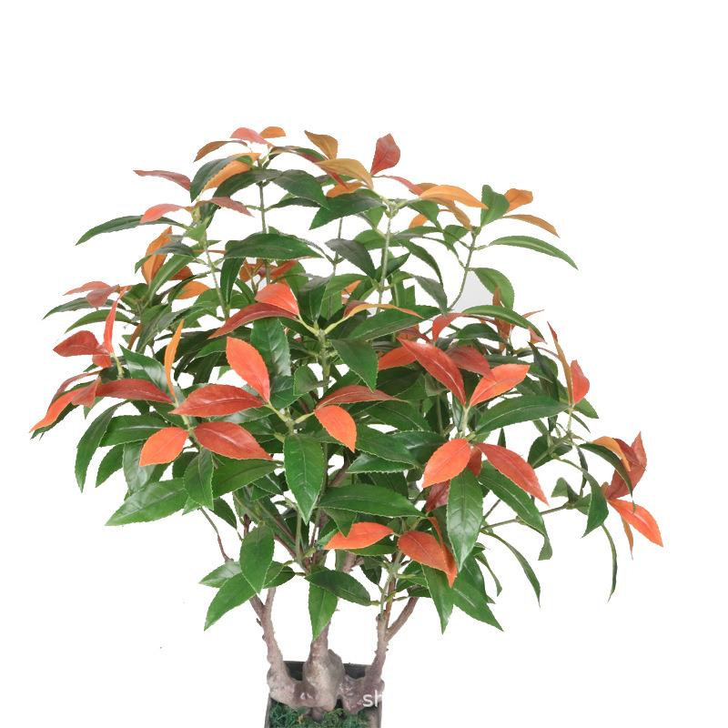新品仿真绿植7#盆栽红楠叶摄影背景叶子屏风工程装饰厂家