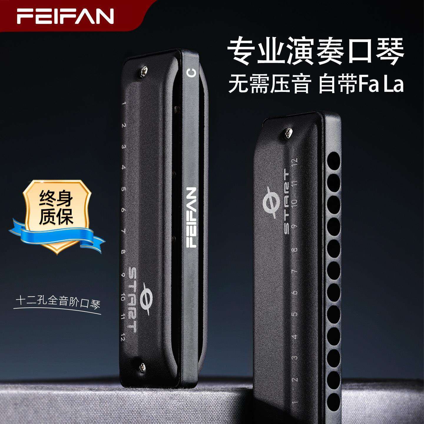 飞繁12孔全音阶口琴带FaLa布鲁斯口琴入门初学专业演奏乐器