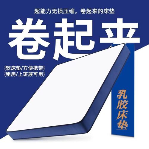 富含乳胶床垫软垫家用卧室租房专用榻榻米垫高密度记忆棉海绵垫