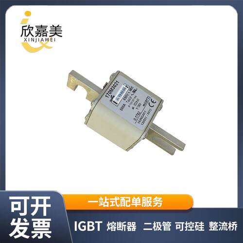 170M3021 170M3023 快速熔断器 电子元器件 型号齐全 量大价优