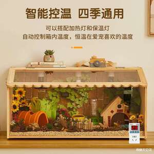 爬宠饲养箱鬃狮蜥家养小宠物恒温箱蜥蜴温控保温箱守宫爬箱变色龙