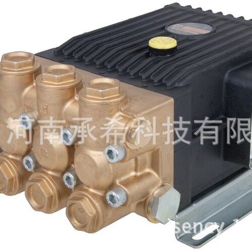 意大利 高压柱塞泵  INTERPUMP 英特 --WS104