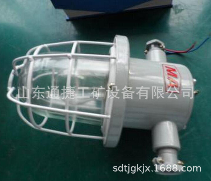 DGS-60防爆白炽灯KBB系列