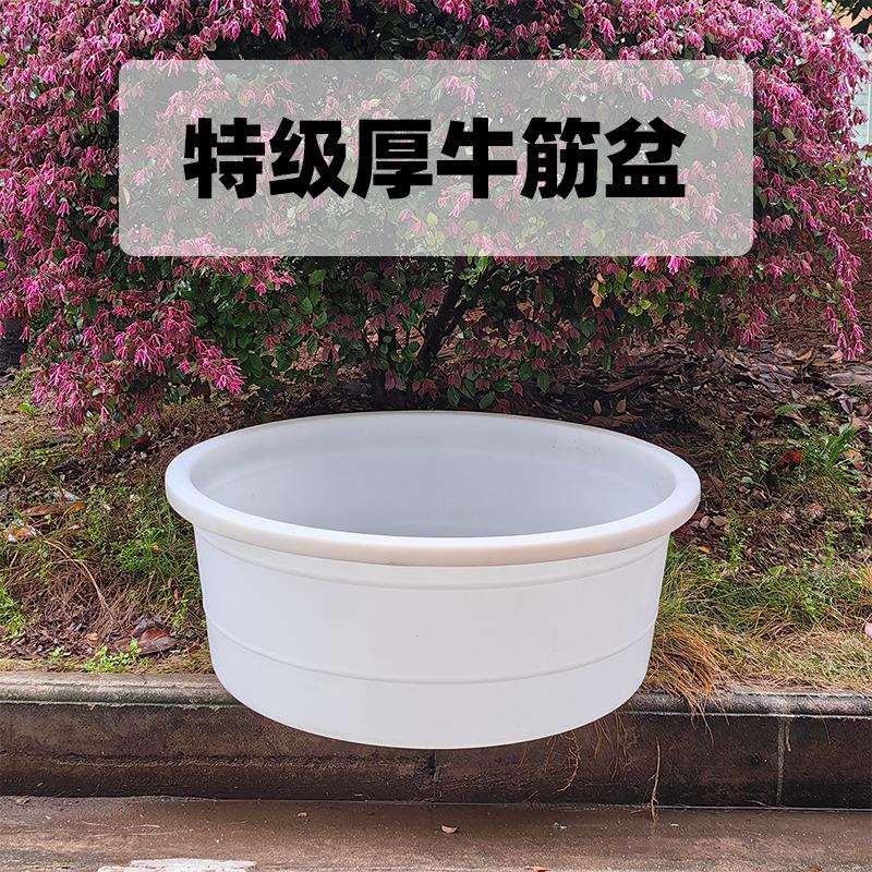 80cm钢化塑料盆洗澡盆大人洗被子盆大号牛筋圆盆加厚大容量盆王