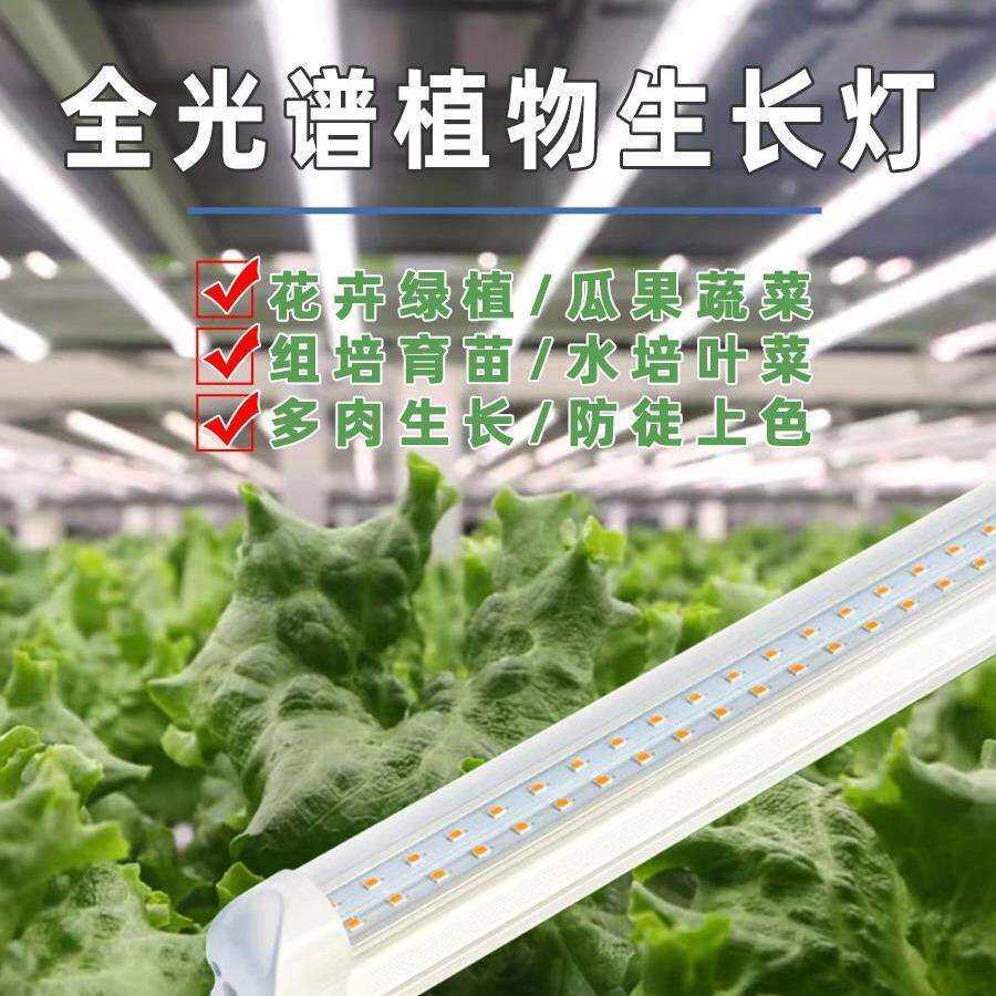 来植物补光灯全光谱植物生长灯水培叶蔬菜组培育苗绿植花卉草莓