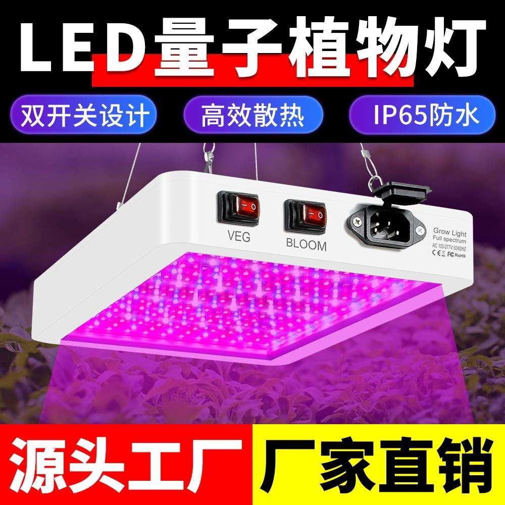 谦润照明LED植物灯室内种植植物补光灯全光谱量子板植物生长灯