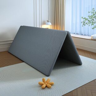 护脊硬床板变硬板床垫排骨架片护腰硬垫双人实木软床1.8米可折叠