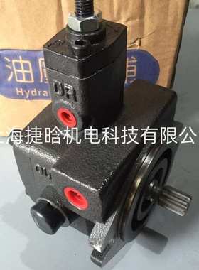 ELITE 变量叶片泵 VARIABLE VANE PUMP VP20-FA3 花键9齿液压泵头