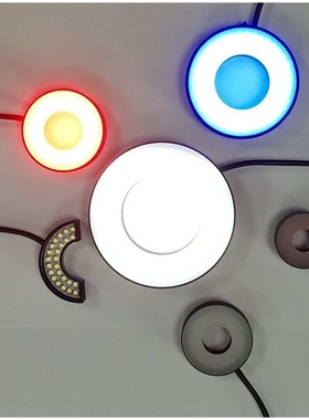 12路光源控制器 BK-LP12NT-I12S450MA