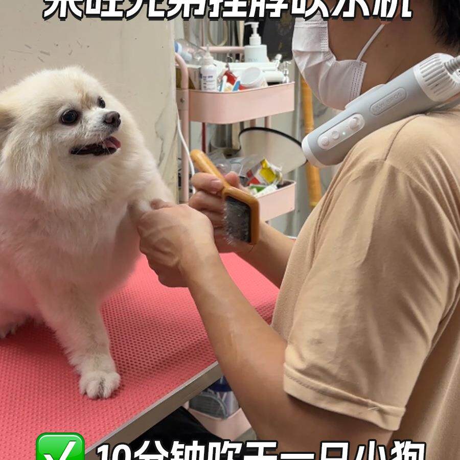 宠物吹风机狗狗洗澡专用烘干降噪吹水机挂脖支架吹毛神器