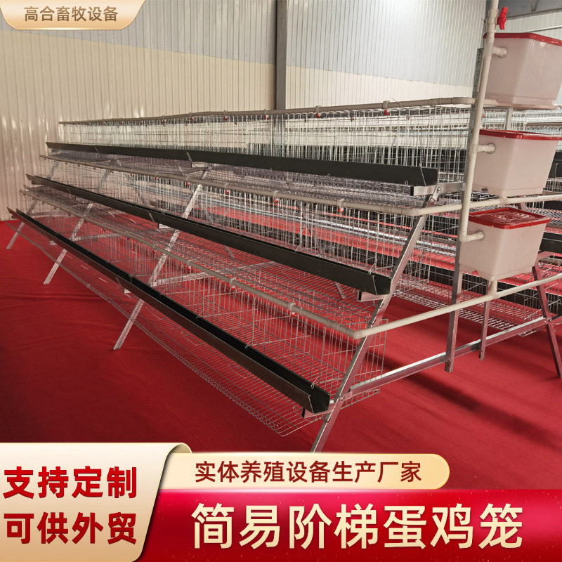 镀锌鸡笼三层四门阶梯式蛋鸡笼养殖厂养鸡笼子带绿石槽现货外贸