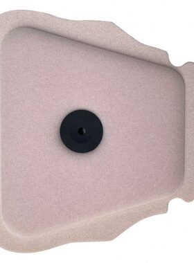 WR21F Z滤清器250 Y19250Z22 -20FX-250  2022空气滤芯- Y F