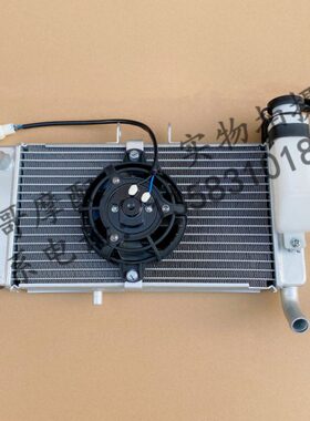 R15R150PR0总成R水箱风扇专用散热器R-散热器AP阿普利亚GPR150G
