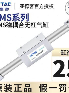 *X05藕3050X20250X0X0无杆气缸10RX1正品磁350式S2/40M0亚德客