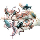 仿真小蛇昆虫12只套装 蜈蚣蝎子蜘蛛蚂蚁苍蝇壁虎儿童玩具动物模型