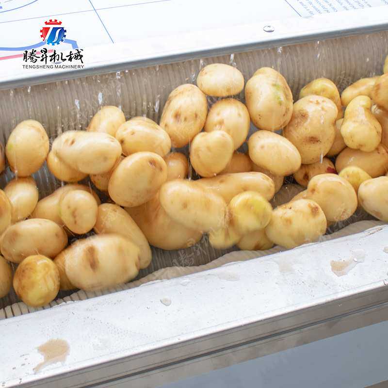 热销毛辊清洗生产线 毛芋南瓜芋仔清洗去泥 毛刷式槟郎芋头清洗