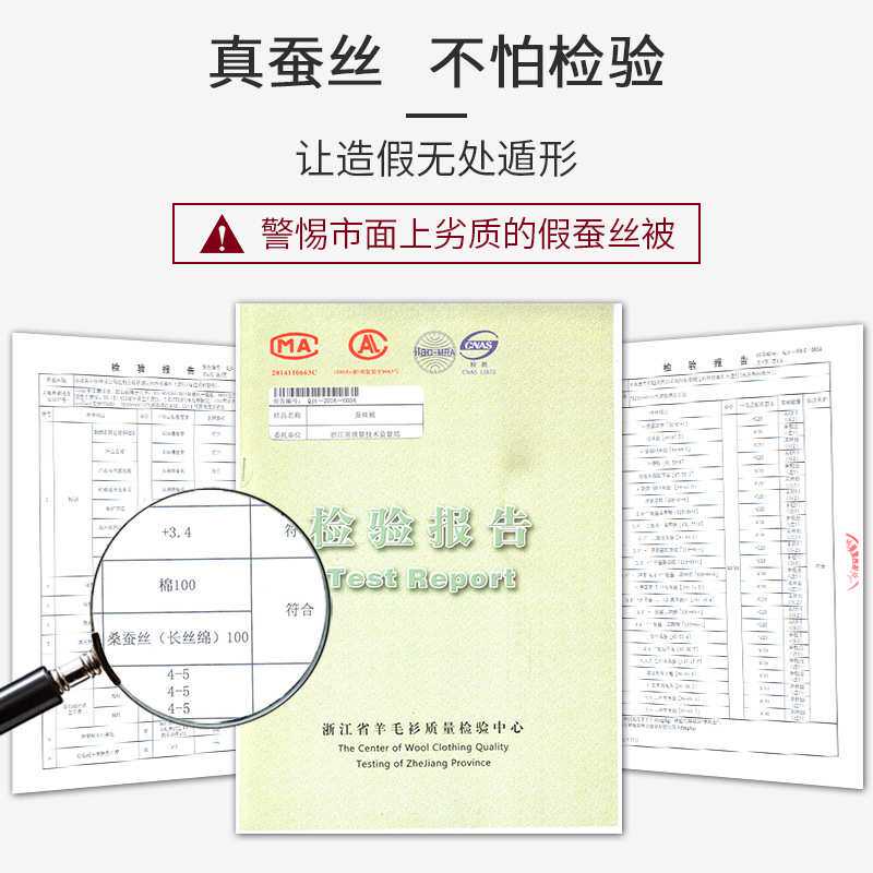 金边HS桑蚕双宫蚕丝被芯春秋夏凉被子纯蚕丝 蚕丝被茧四季通用