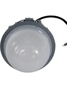 LED平台灯弯杆式NFC9190 30W50WLED应急平台灯电厂立杆式 NFE9190