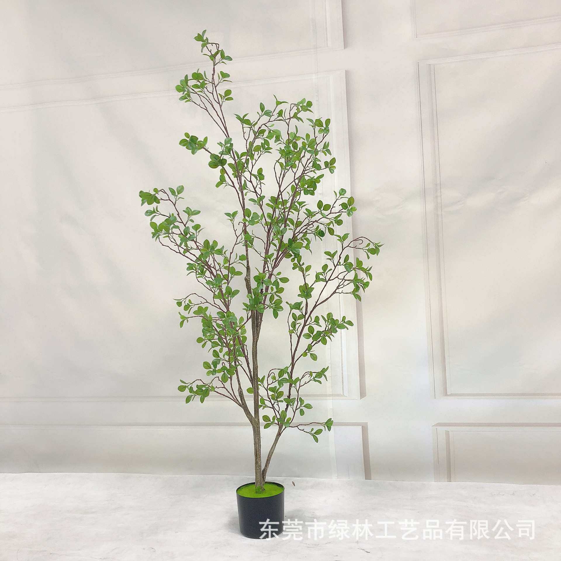 仿真椿树高档美式加密款落地植物橄榄树盆景摄影道具装饰盆栽