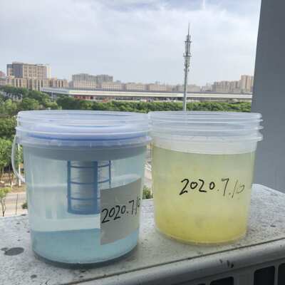 Solar pool ionizer太阳能铜银离子水处理器泳池水净化器purifier