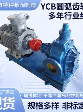 厂家现货不锈钢圆弧齿轮油泵油罐车柴油汽油抽油泵YCB圆弧齿轮油
