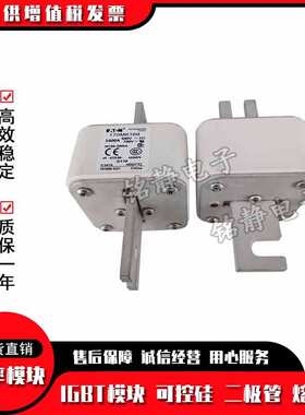 170M6198 170M6199 170M6200巴斯曼170M6201熔断器现货