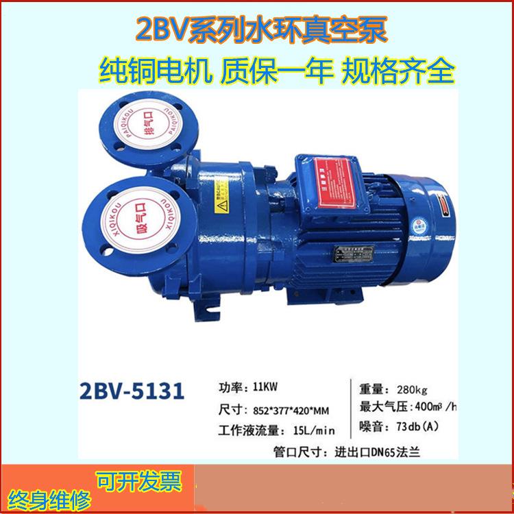 隆界2BV水环真空泵闭式循环泵传输水环式抽真空气泵成套机组设备