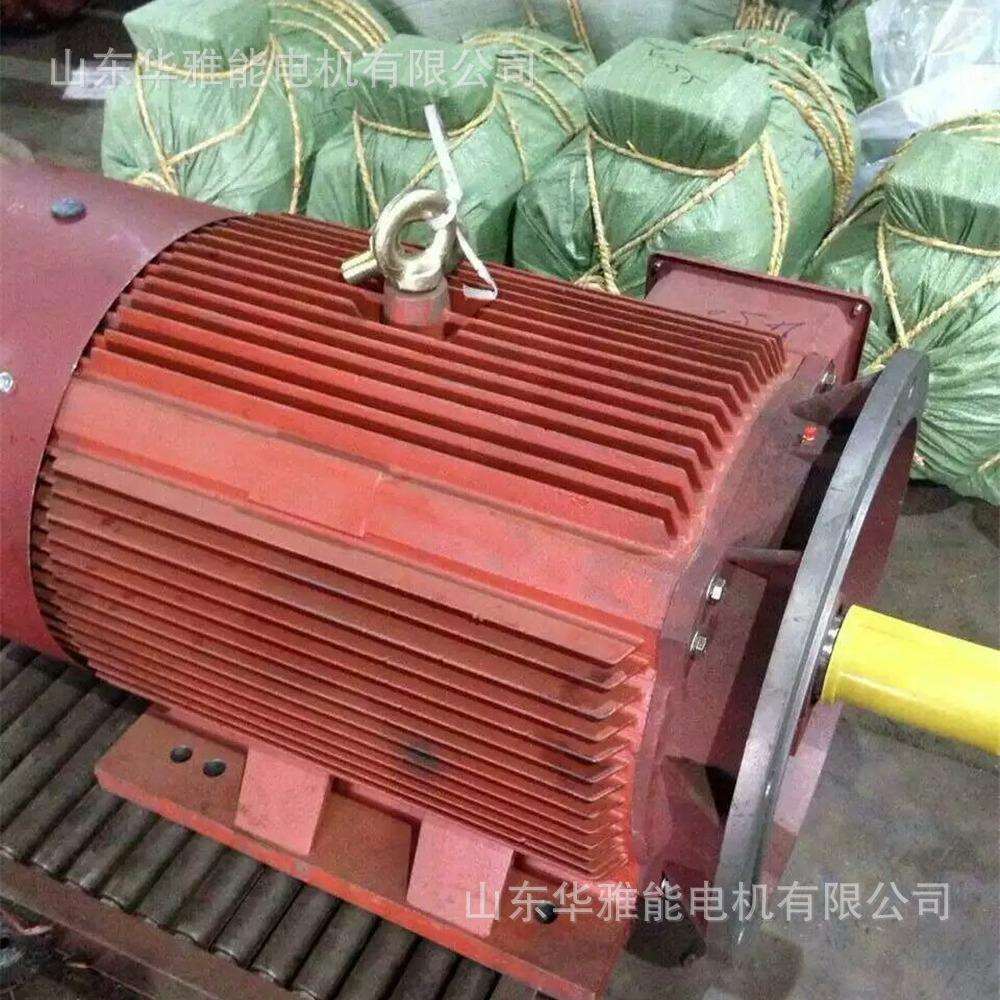 YE4-250M-6-37电机增容设计YE4电机是否符合订货合同现场情况要求