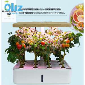 若澜园艺 智能创意水果蔬菜水培种植机 全光谱植物生长灯微景观