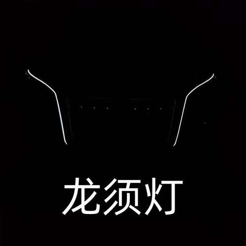 红旗H5大U灯HS5HS7流光灯HS3/PHEV中网流水灯改装LED日行灯龙须灯