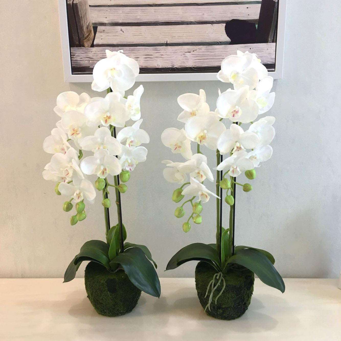 蝴蝶兰盆栽手感过胶绢花仿真盆栽假盆景仿真家居装饰盆栽植物
