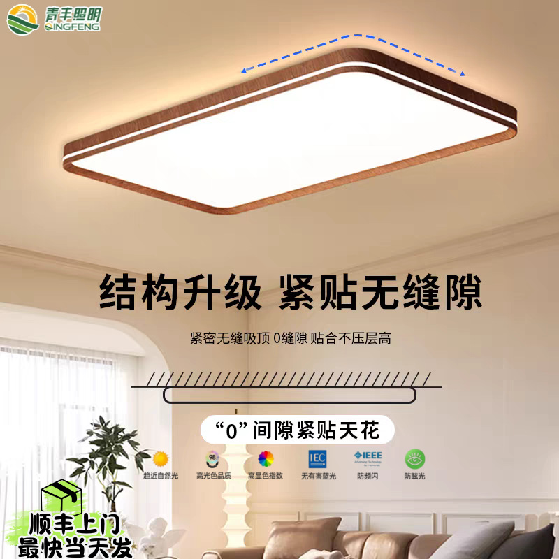 普瑞灯珠吸顶灯客厅大厅主灯中古风极简新中式高级中山灯具家居