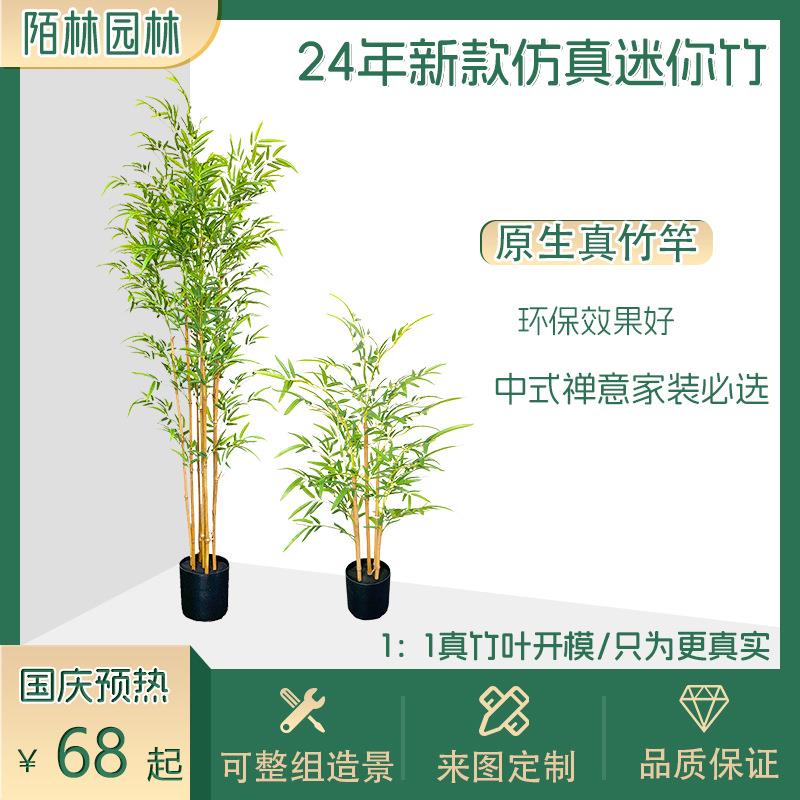 仿真南天竹假迷你竹子富贵竹绿植造景摆件客厅落地盆栽家居装饰