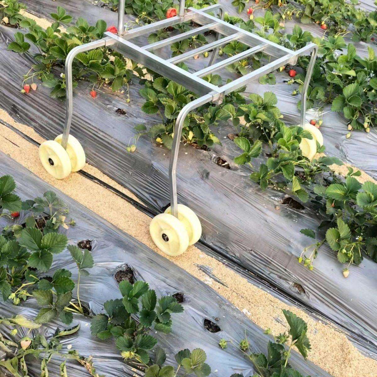 厂家大棚新款升级草莓运输车跨垄运输采摘蔬菜草莓采摘车宽度可调