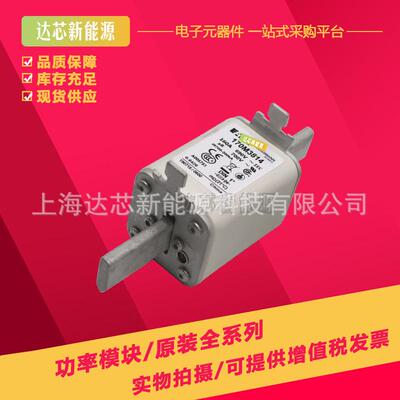 170M3814170M3815170M3816170M3817170M3818170M3819熔断器