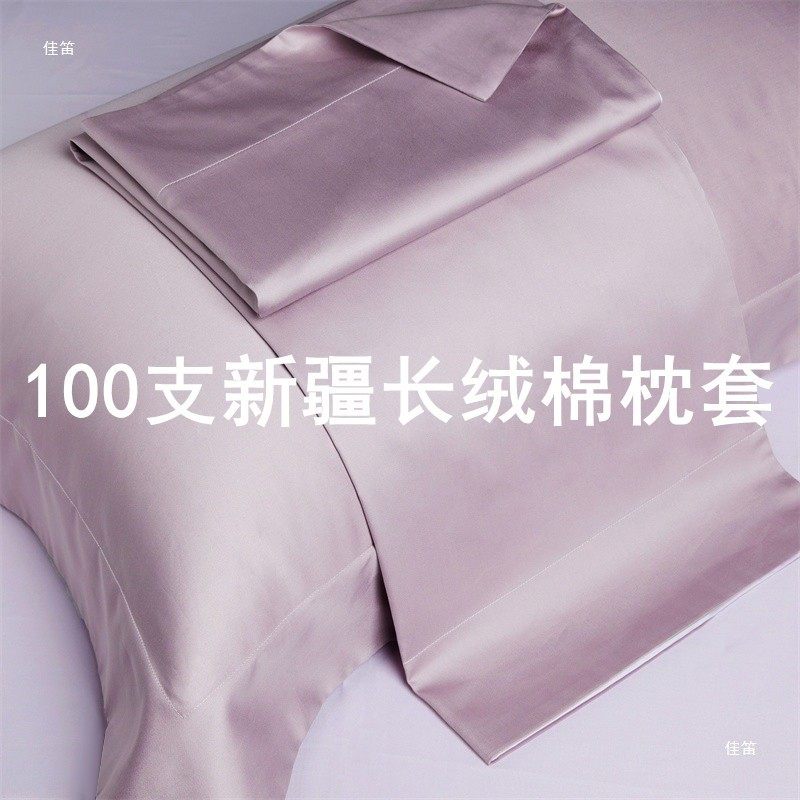 新疆长绒棉支纯棉枕套一对家用纯色枕头套装感新款