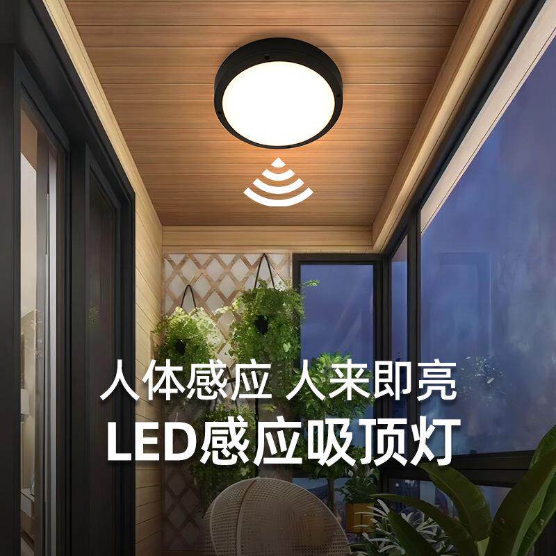 TRIAC可控硅感应大门进户门灯玄关灯防蚊虫吸顶灯别墅入户阳台灯