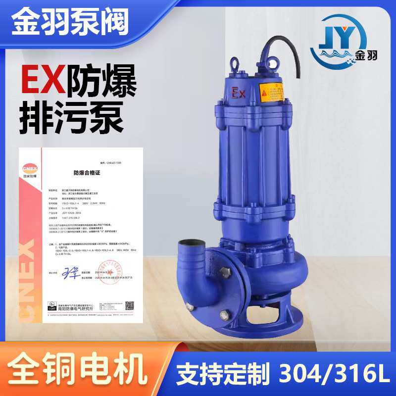 BQW150-130-30-22潜水排污泵 WQB国标EX加油站煤矿防爆潜污泵