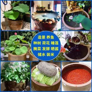 水缸老式阳台养鱼池落地室外金鱼缸陶瓷庭院造景荷花盆缸古法鱼缸