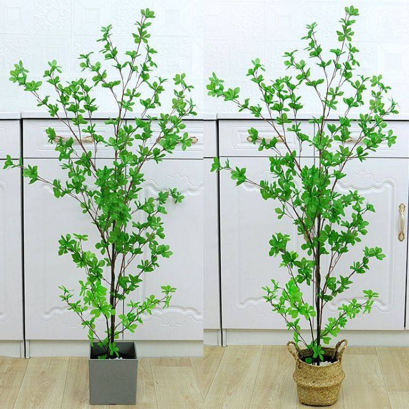 北欧风仿真植物盆景仿真花绿植摆件龟背叶室内盆栽桌面茶几,家居饰品,仿真植物盆景,淘宝优惠券,粉丝福利购,淘宝优惠卷