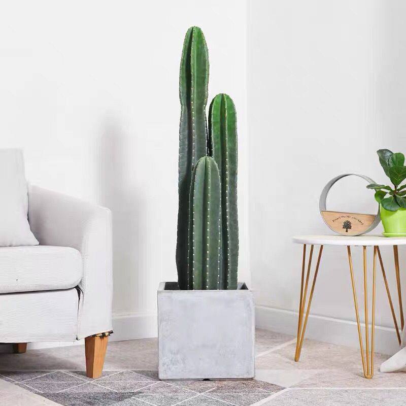 仙人掌盆栽大号量天尺仙人柱多肉植物网红北欧风中大型客厅办室内,家居饰品,仿真植物盆景,淘宝优惠券,粉丝福利购,淘宝优惠卷