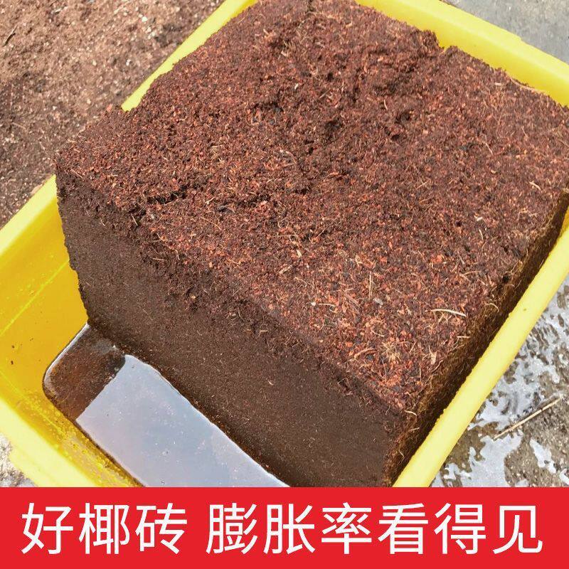 9斤大椰砖大块椰糠砖营养土多肉绿萝园艺耶土通用养花种菜专用土