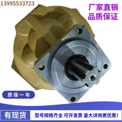 G2C6  16B400CG2080BC0BG20齿轮泵50G20G2CBG1B  C    310BC0