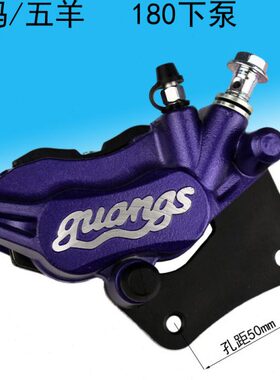 支架左泵卡钳五泵电摩 边羊18后祖玛下泵边右下电动车刹下0总成