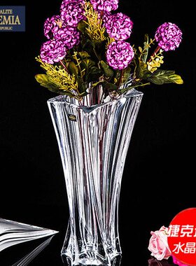 AEMI进口水晶捷花瓶现代BOH水养轻奢花瓶客厅装饰摆件克玻璃透明