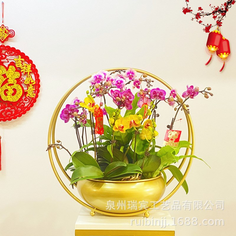 新中式花架花篮金色圆形冬青银柳蝴蝶兰J专用花盆装饰年宵花造景
