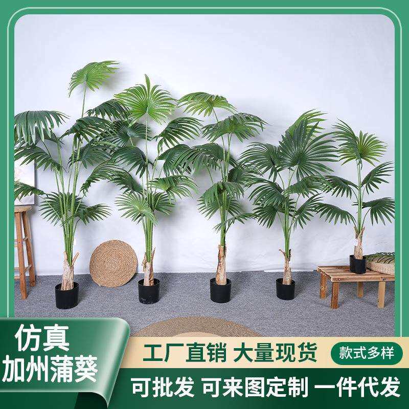 仿真新款蒲葵 扇葵树北欧风假绿植圆叶蒲 装饰摆件落地室内盆景