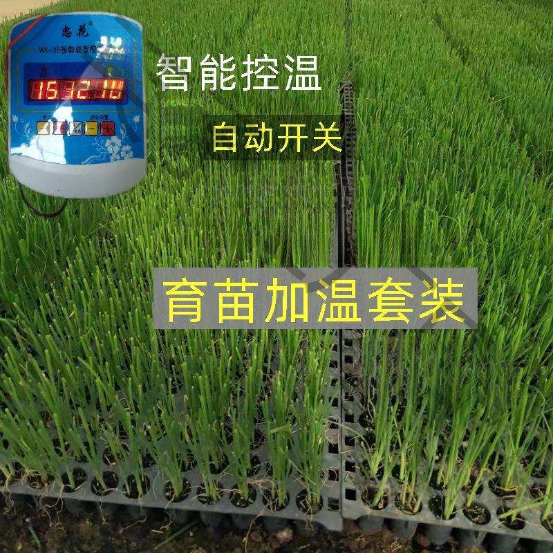 农用育苗加热线大棚温控地热线电加热线温控器加温线温室空垒德株