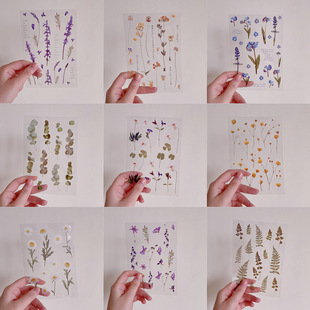亚克力边框贴纸 透明pet花朵绿叶 干花替代品贴画透明简约ins风